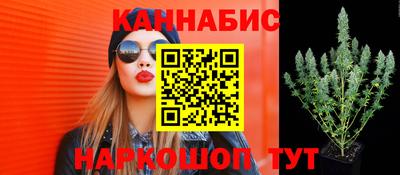 шишки Апшеронск