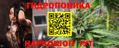 шишки Апшеронск