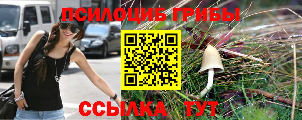 Псилоцибиновые грибы MAGIC MUSHROOMS  Вход с VPN  Асино 