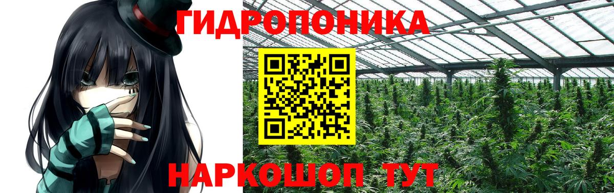 Бошки Шишки SATIVA & INDICA Асино